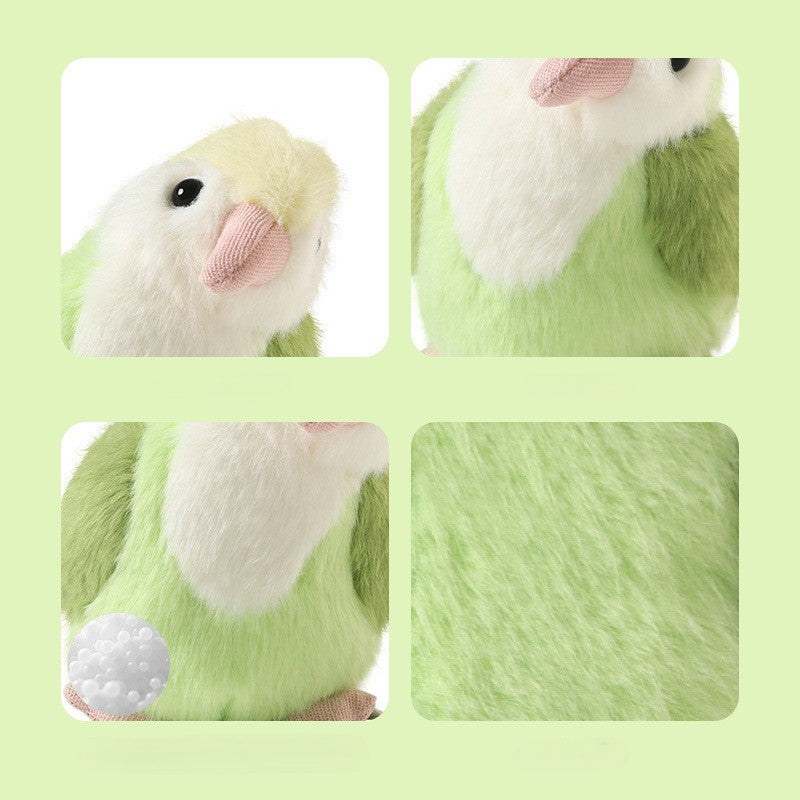 Süßer Vogel