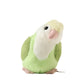 Süßer Vogel