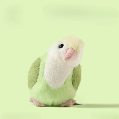 Süßer Vogel