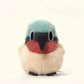 Süßer Vogel